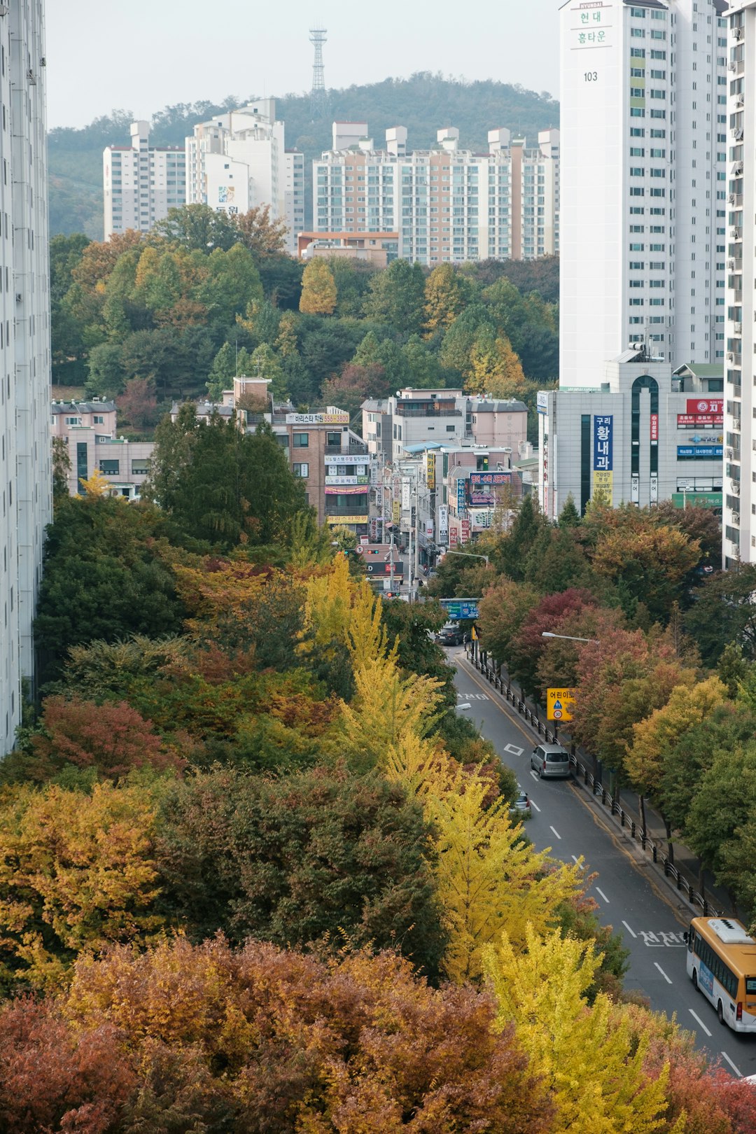 트렌드 꿀팁