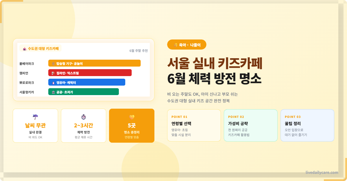 서울 실내 키즈카페, 6월 비 오는 주말 아이 체력 방전 명소