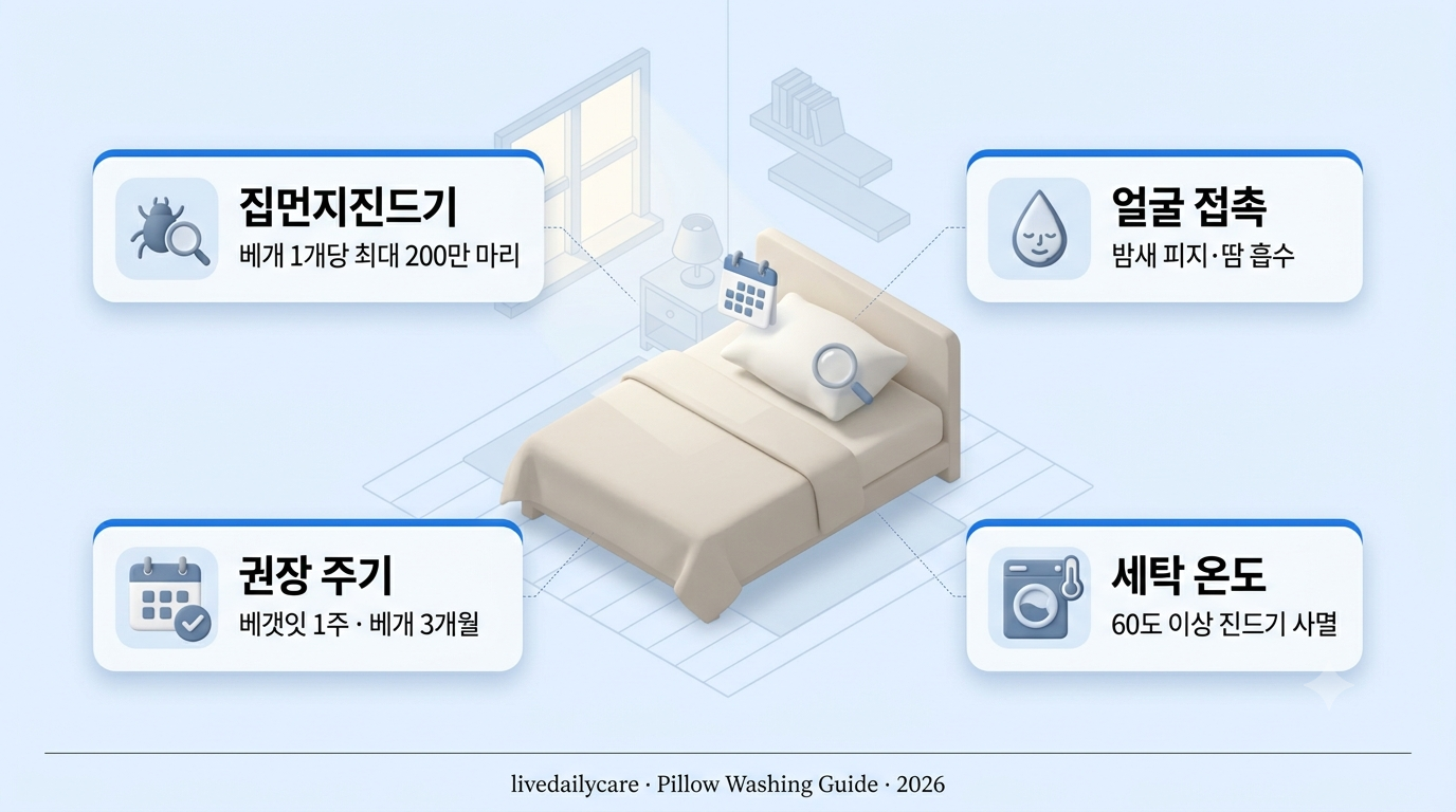 베개 세탁 주기 인포그래픽 — 집먼지진드기 10만 마리, 얼굴 접촉, 60도 세탁, 권장 주기