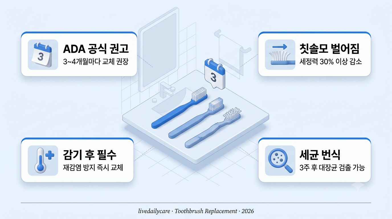 칫솔, 3개월마다 바꾸라는 이유가 사실은 이겁니다