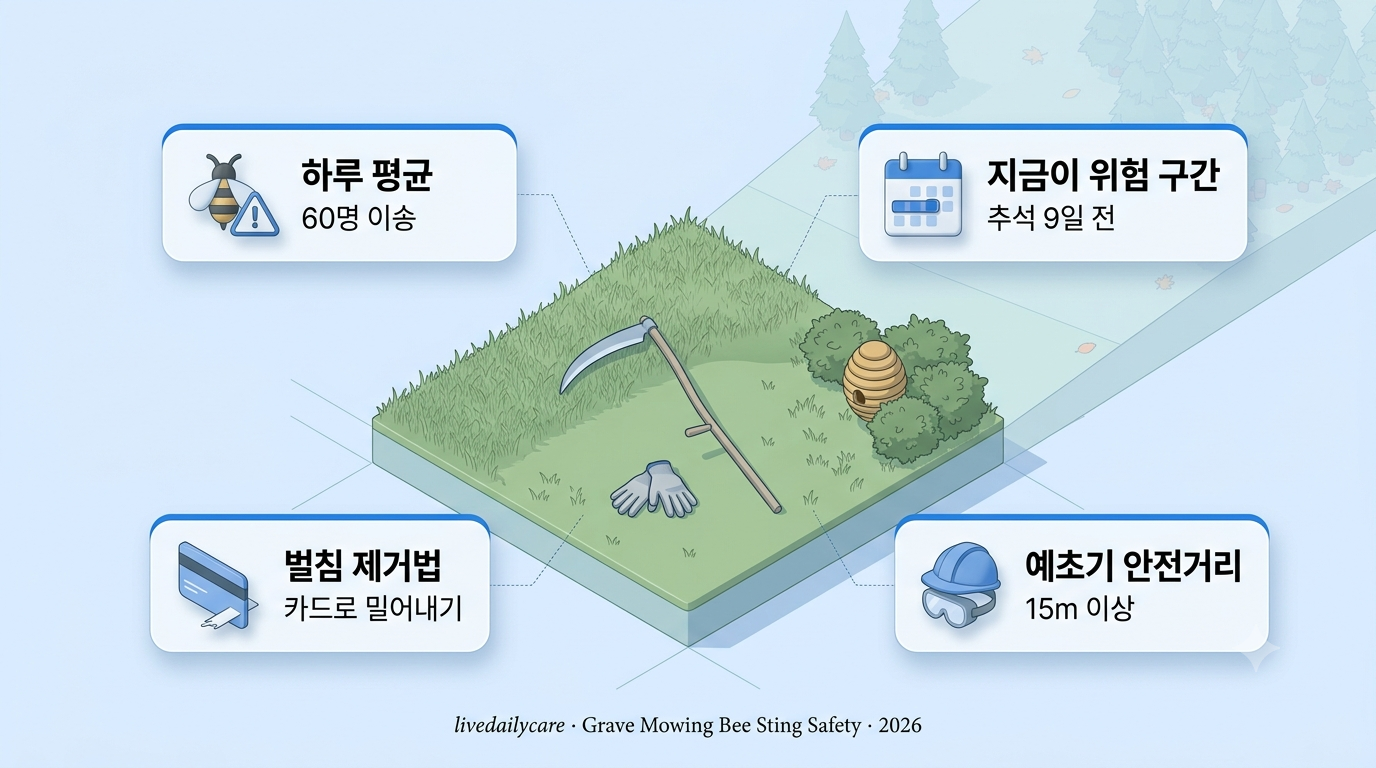 벌초 벌쏘임 예방 이미지 — 벌초 작업 중 벌집 근처를 조심스럽게 살피는 모습